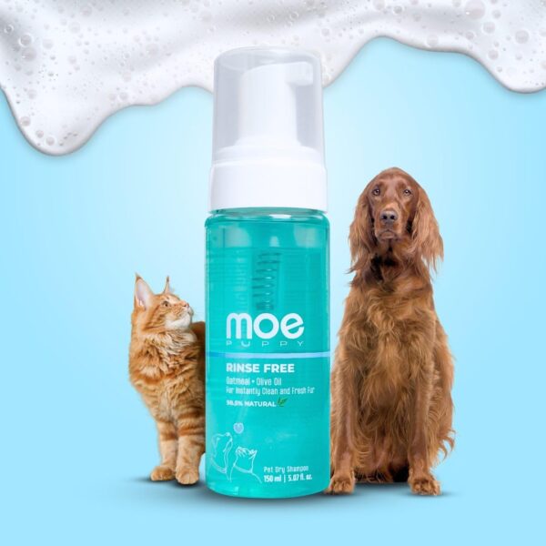 Moe Puppy Waterless Dry Shampoo for Dogs & Cats | Moe Puppy Waterless Dry Shampoo for Dogs & Cats | Cleansing & Conditioning, Detangling & Moisturizing | Quick Odor Removal | Safe for Puppies & Kittens (150 ml)