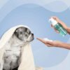 61qJE4WdxDL._SL1215_.jpg Moe Puppy Waterless Dry Shampoo for Dogs & Cats | Cleansing & Conditioning, Detangling & Moisturizing | Quick Odor Removal | Safe for Puppies & Kittens (150 ml)