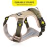 61thv3tViHL._SL1000_.jpg PetVogue Dog Harness for Medium Dogs No Pull; Reflective Dog Vest Harness, Adjustable Pet Harness with 2 Leash Clips, No Choke Dog Vest with Loop Panels, Dog Harness with Easy Control Handle Khaki XL