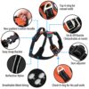 HANK Dog Harness | 4 Adjustable Buckles | Strong Metal Hook | 3M Reflective Strap | Soft Handle | Dog Chest Belt for Large Dogs (Neon Orange - XL (35-65Kg)