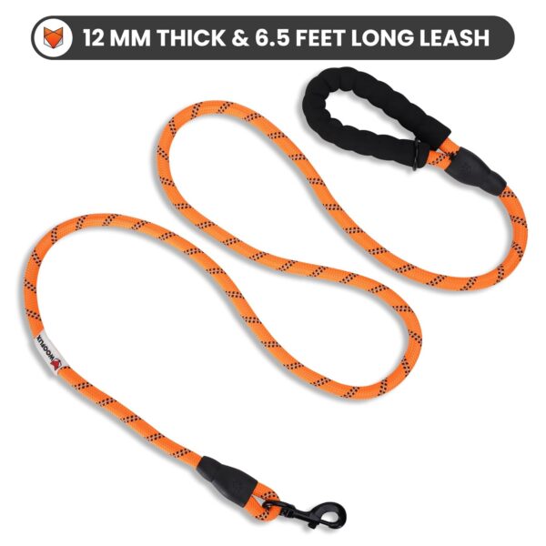 WOOFLIX Reflective Leash & Collar Combo Set | Anti-Slip Padded Handle for Medium & Large Dogs | Highly Reflective Rope (Leash 6.5 Ft. + Collar Medium, Orange), 18 Cm