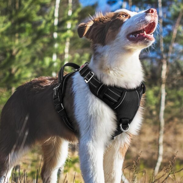 Premium Reflective Dog Vest Harness| Soft Breathable| Padded Handle| Adjustable Straps & Dual Lock Buckle| No-Choke Design with Free Leash-12mm Chest (22-30 inch) All Medium Breeds 12-27 Kg
