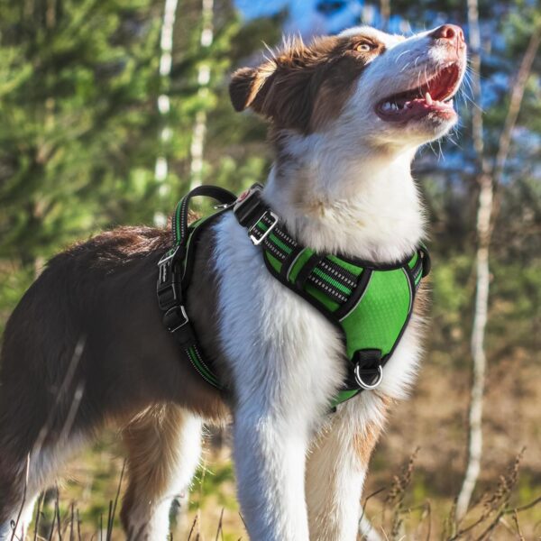 Doggo Bite Premium Reflective Dog Vest Harness| Soft Breathable| Padded Handle| Adjustable Straps & Dual Lock Buckle| No-Choke Design with Free Leash-22mm Chest (28-37inch) All Giant Breeds 35-60Kg