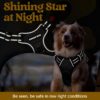 Premium Reflective Dog Vest Harness| Soft Breathable| Padded Handle| Adjustable Straps & Dual Lock Buckle| No-Choke Design with Free Leash-12mm Chest (22-30 inch) All Medium Breeds 12-27 Kg