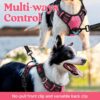 Doggo Bite Premium Reflective Dog Vest Harness| Soft Breathable| Padded Handle| Adjustable Straps & Dual Lock Buckle| No-Choke Design with Free Leash-22mm Chest 28-37inch All Giant Breeds 35-60Kg