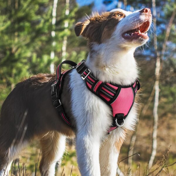 Doggo Bite Premium Reflective Dog Vest Harness| Soft Breathable| Padded Handle| Adjustable Straps & Dual Lock Buckle| No-Choke Design with Free Leash-22mm Chest 28-37inch All Giant Breeds 35-60Kg