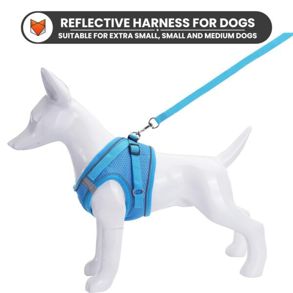 WOOFLIX Dog Harness for Small Dogs, Puppies and Cats | Suitable for Small Size Dogs, Cats & Puppies of 7kg-10kg | Reflective Soft Padded Dog Harness with Secure Fit | Blue (7kg-10kg Dog & Cat)