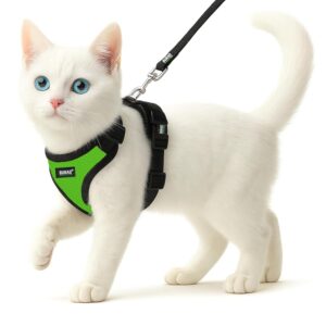 Buraq No Pull Cat Harness with Leash, Escape Proof, Ultra-Light Weight, Air Mesh Fabric, Aesthetic Design Adjustable Cat Leash with Harness (S - Green)