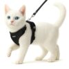 Buraq No Pull Cat Harness with Leash, Escape Proof, Ultra-Light Buraq No Pull Cat Harness with Leash, Escape Proof, Ultra-Light Weight, Air Mesh Fabric, Aesthetic Design Adjustable Cat Leash with Harness (S - Black)