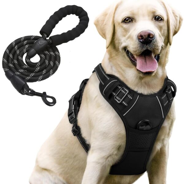 Lyrovo Adjustable No-Pull Dog Harness with Leash Set for Small, Medium & Large Dogs – Reflective, Breathable, Comfortable Vest Harness for Training & Walking (Black, S (4-13Kg))