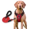 HANK Dog Harness Leash Set - 4 Adjustable Buckle - Metal Hook - Soft Handle - Dog Chest Belt for Training - Walking (Red - M (Harness + Leash)