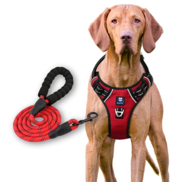 HANK Dog Harness Leash Set - 4 Adjustable Buckle - Metal Hook - Soft Handle - Dog Chest Belt for Training - Walking (Red - M (Harness + Leash)