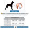 HANK Dog Harness | 3M Reflective Strap | Dog Body Vest for Medium Dogs | Soft Comfortable Padded | Anti Pull Harness for Walking, Training (Orange - Grey - M (14-22Kg)