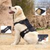 71utXr16Y8L._SL1001_.jpg FYA Tactical Dog Harness for Medium Large Dogs No Pull, Military Dog Harness with Handle,Service Dog Vest, Adjustable Pet Harness for Training Hunting Walking