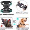 Dog Harness Dog Body Belt Vest for Large Medium Small Dogs with Safety Reflective No Pull Adjustable Military Style Dog Vest Training Harness(Black, Small)