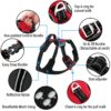 HANK Dog Harness Leash Set - 4 Adjustable Buckle - Metal Hook - Soft Handle - Dog Chest Belt for Training - Walking (Red - M (Harness + Leash)