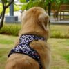 818IKMKgKL._SL1500_.jpg 'Moo-ve Over' Reflective No-Pull Dog Vest Harness for Large Dogs (21-30 kg) | Secure Lock-Unlock, Adjustable fit, Dual Leash Hook, Soft & Padded Harness for All Breed Dog | Chest: 23–30"