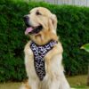 81IaoQUdDQL._SL1500_.jpg 'Moo-ve Over' Reflective No-Pull Dog Vest Harness for Large Dogs (21-30 kg) | Secure Lock-Unlock, Adjustable fit, Dual Leash Hook, Soft & Padded Harness for All Breed Dog | Chest: 23–30"