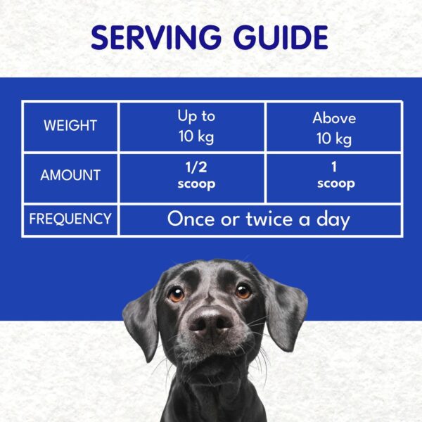 Petroyale Digestive Probiotics for Dogs - Prebiotics & Probiotics Supplement Powder - Improves Gut Health - Prevents Diarrhea & Indigestion - Dog Gut Wellness Supplement | 100g (Pack of 1)