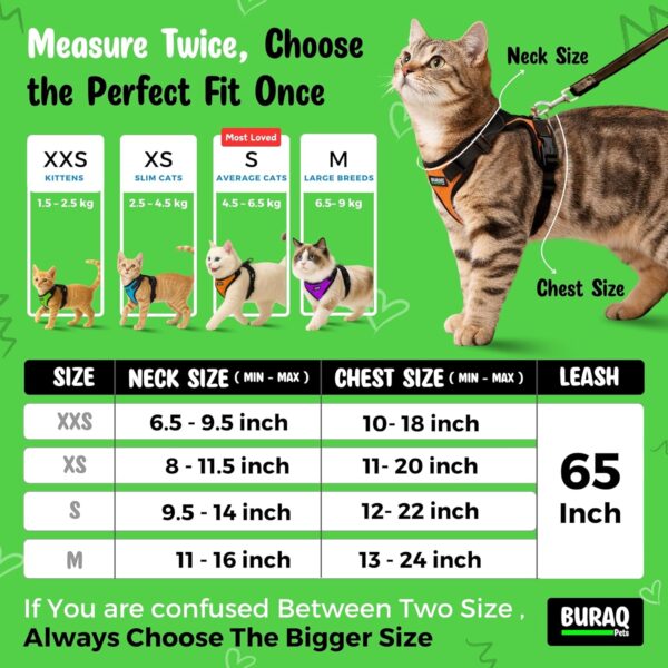 81p4ydWnhlL._SL1500_.jpg Buraq No Pull Cat Harness with Leash, Escape Proof, Ultra-Light Weight, Air Mesh Fabric, Aesthetic Design Adjustable Cat Leash with Harness (S - Black)