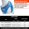 WOOFLIX Dog Harness for Small Dogs, Puppies and Cats | Suitable for Small Size Dogs, Cats & Puppies of 7kg-10kg | Reflective Soft Padded Dog Harness with Secure Fit | Blue (7kg-10kg Dog & Cat)